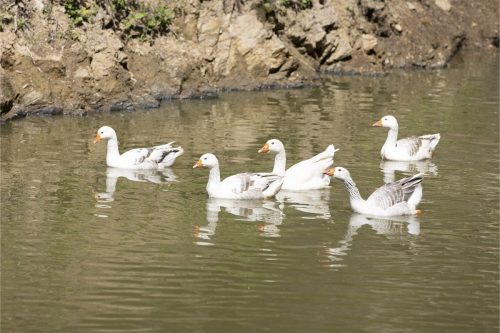 Liska-Park-Galerie 0011 IMG 1390