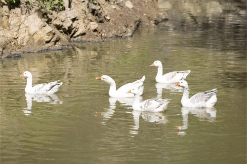 Liska-Park-Galerie 0012 IMG 1381