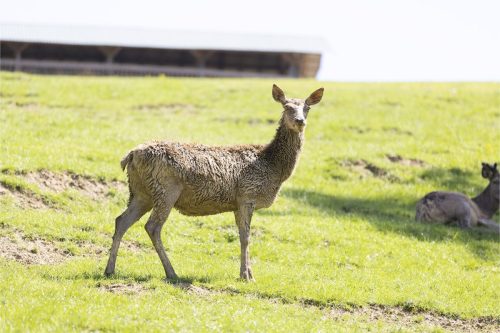 Liska-Park-Galerie 0020 IMG 1294