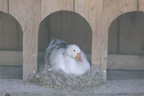 Liska-Park-Galerie 0022 IMG 1282