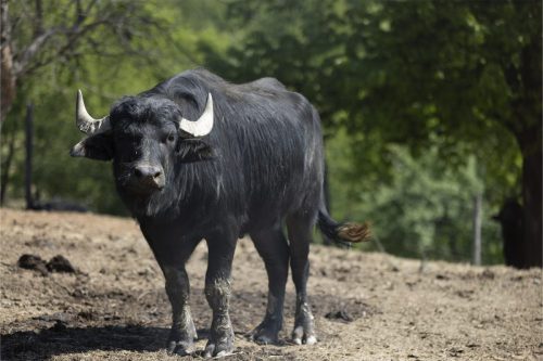 Liska-Park-Galerie 0025 IMG 1259