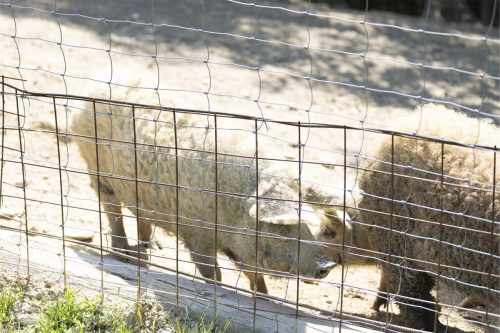 Liska-Park-Galerie 0026 IMG 1252