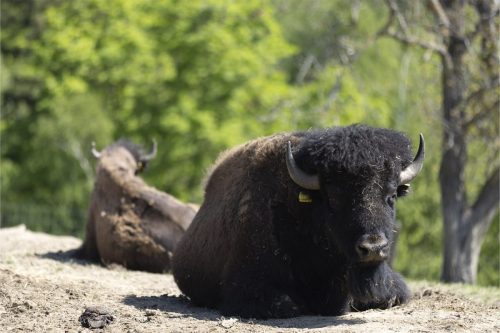 Liska-Park-Galerie 0032 IMG 1220