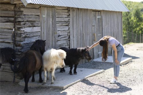 Liska-Park-Galerie 0037 IMG 1195