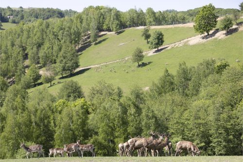 Liska-Park-Galerie 0038 IMG 1194