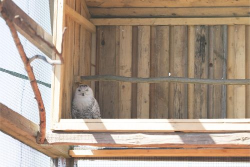 Liska-Park-Galerie 0042 IMG 1169