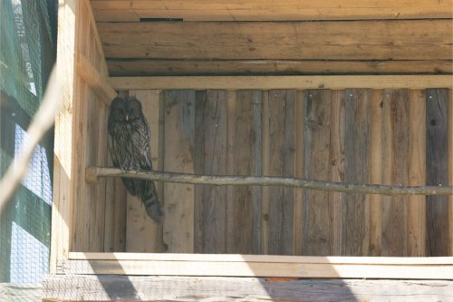 Liska-Park-Galerie 0043 IMG 1164