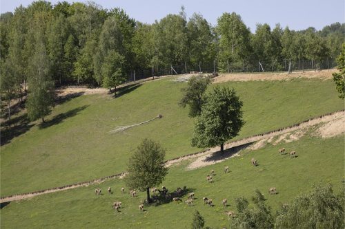 Liska-Park-Galerie 0046 IMG 1146