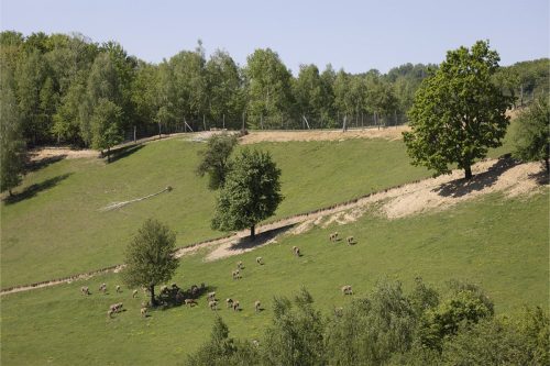 Liska-Park-Galerie 0047 IMG 1142