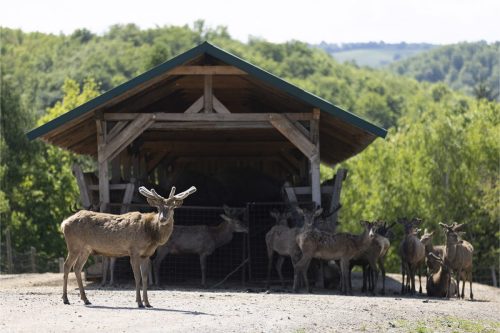 Liska-Park-Galerie 0052 IMG 1126