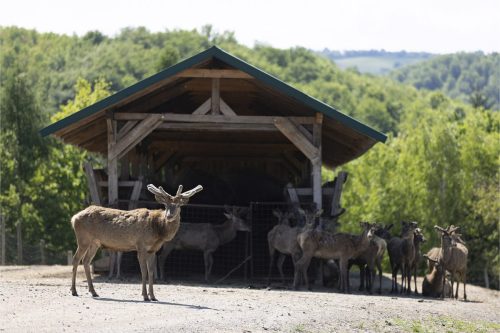 Liska-Park-Galerie 0053 IMG 1122