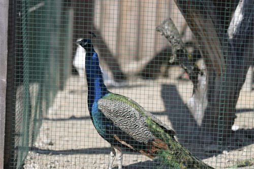 Liska-Park-Galerie 0055 IMG 1117