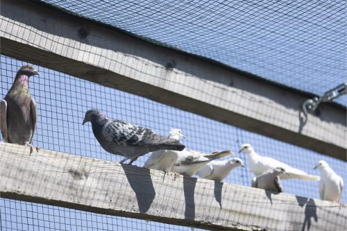 Liska-Park-Galerie 0056 IMG 1115