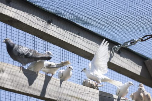 Liska-Park-Galerie 0057 IMG 1110