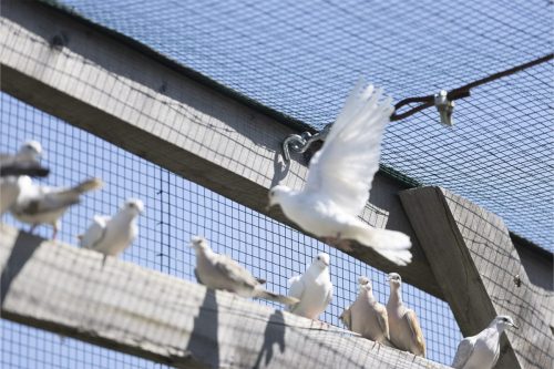 Liska-Park-Galerie 0058 IMG 1106