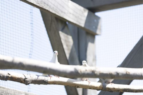 Liska-Park-Galerie 0059 IMG 1101