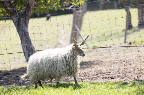 Liska-Park-Galerie 0063 IMG 1091