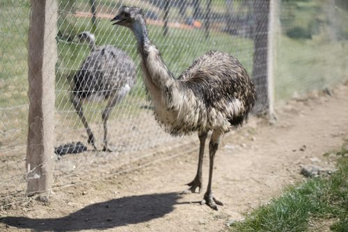 Liska-Park-Galerie 0069 background-3