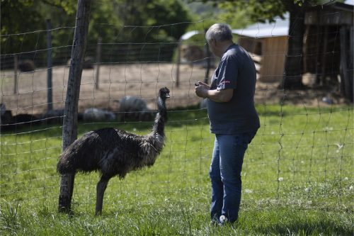 Liska-Park-Galerie 0071 IMG 1046