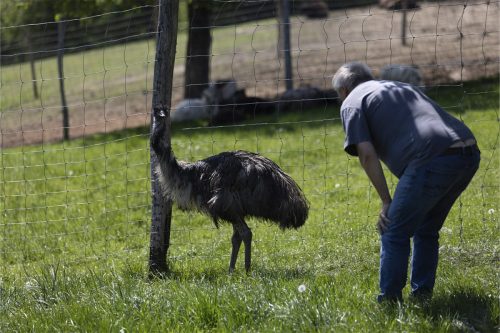 Liska-Park-Galerie 0072 IMG 1039