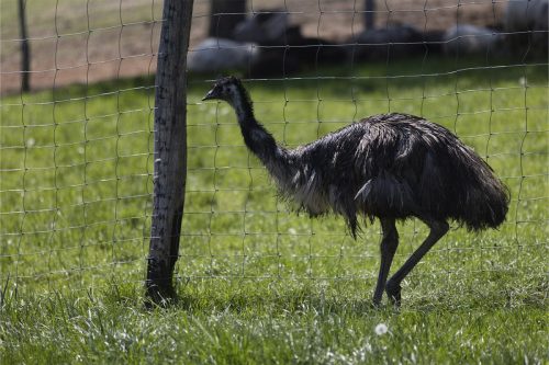 Liska-Park-Galerie 0073 IMG 1032