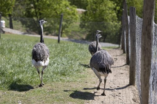 Liska-Park-Galerie 0074 IMG 1021