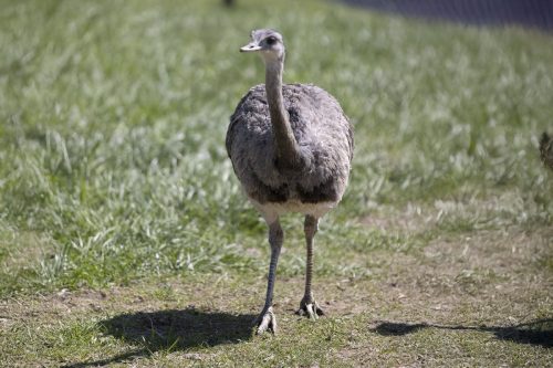 Liska-Park-Galerie 0075 background-5