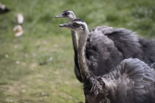 Liska-Park-Galerie 0076 background-7