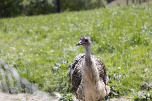 Liska-Park-Galerie 0077 IMG 0998