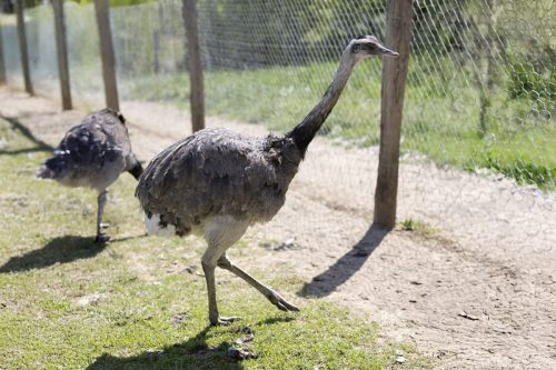 Liska-Park-Galerie 0078 background-8