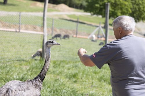 Liska-Park-Galerie 0079 IMG 0992