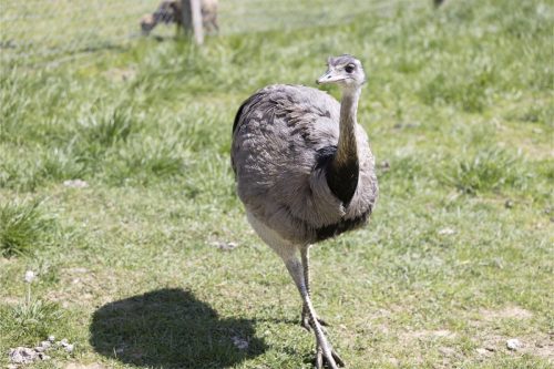 Liska-Park-Galerie 0080 IMG 0988