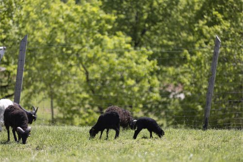 Liska-Park-Galerie 0081 IMG 0987