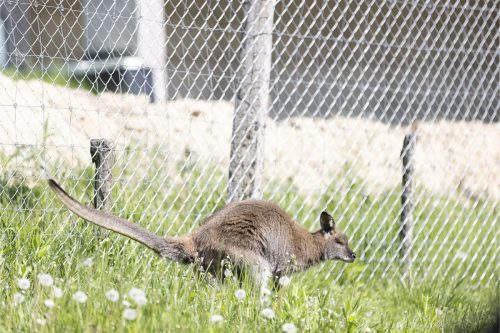 Liska-Park-Galerie 0096 IMG 0897