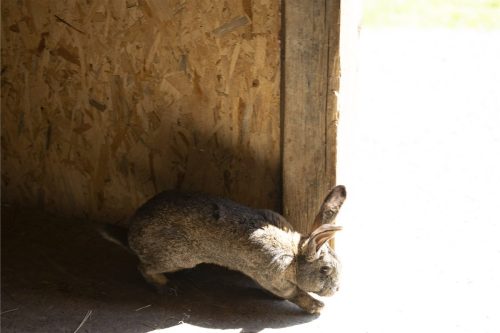 Liska-Park-Galerie 0102 IMG 0871