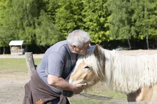 Liska-Park-Galerie 0105 IMG 0861