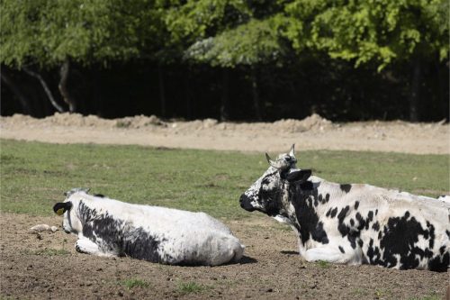 Liska-Park-Galerie 0107 IMG 0849