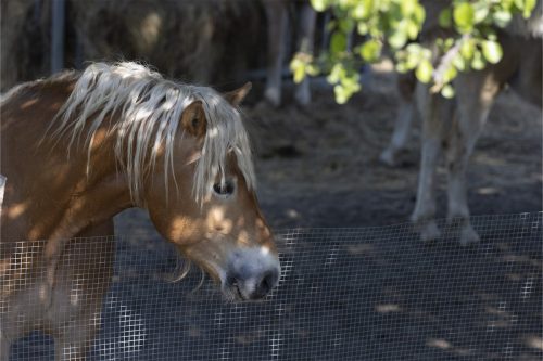 Liska-Park-Galerie 0110 IMG 0831