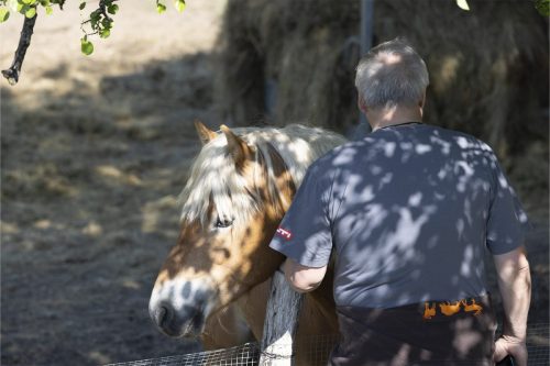 Liska-Park-Galerie 0111 IMG 0826