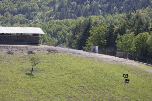 Liska-Park-Galerie 0112 IMG 0822