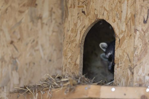 Liska-Park-Galerie 0113 IMG 0811