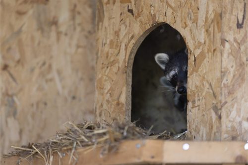 Liska-Park-Galerie 0114 IMG 0804