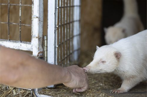 Liska-Park-Galerie 0117 IMG 0795