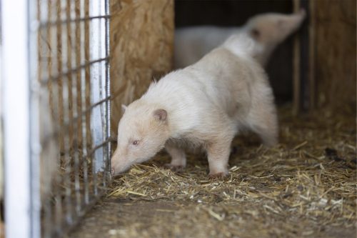 Liska-Park-Galerie 0120 IMG 0764