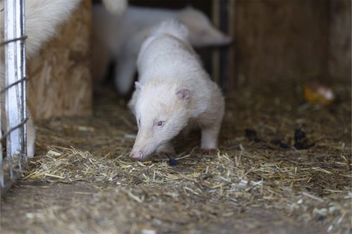 Liska-Park-Galerie 0121 IMG 0753