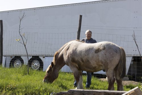 Liska-Park-Galerie 0127 IMG 0702