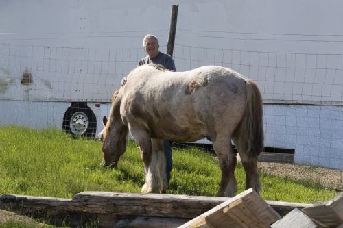 Liska-Park-Galerie 0128 background-12