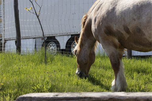 Liska-Park-Galerie 0130 IMG 0691